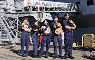 All smiles for HMS Prince of Wales sailors as dogs visit carrier