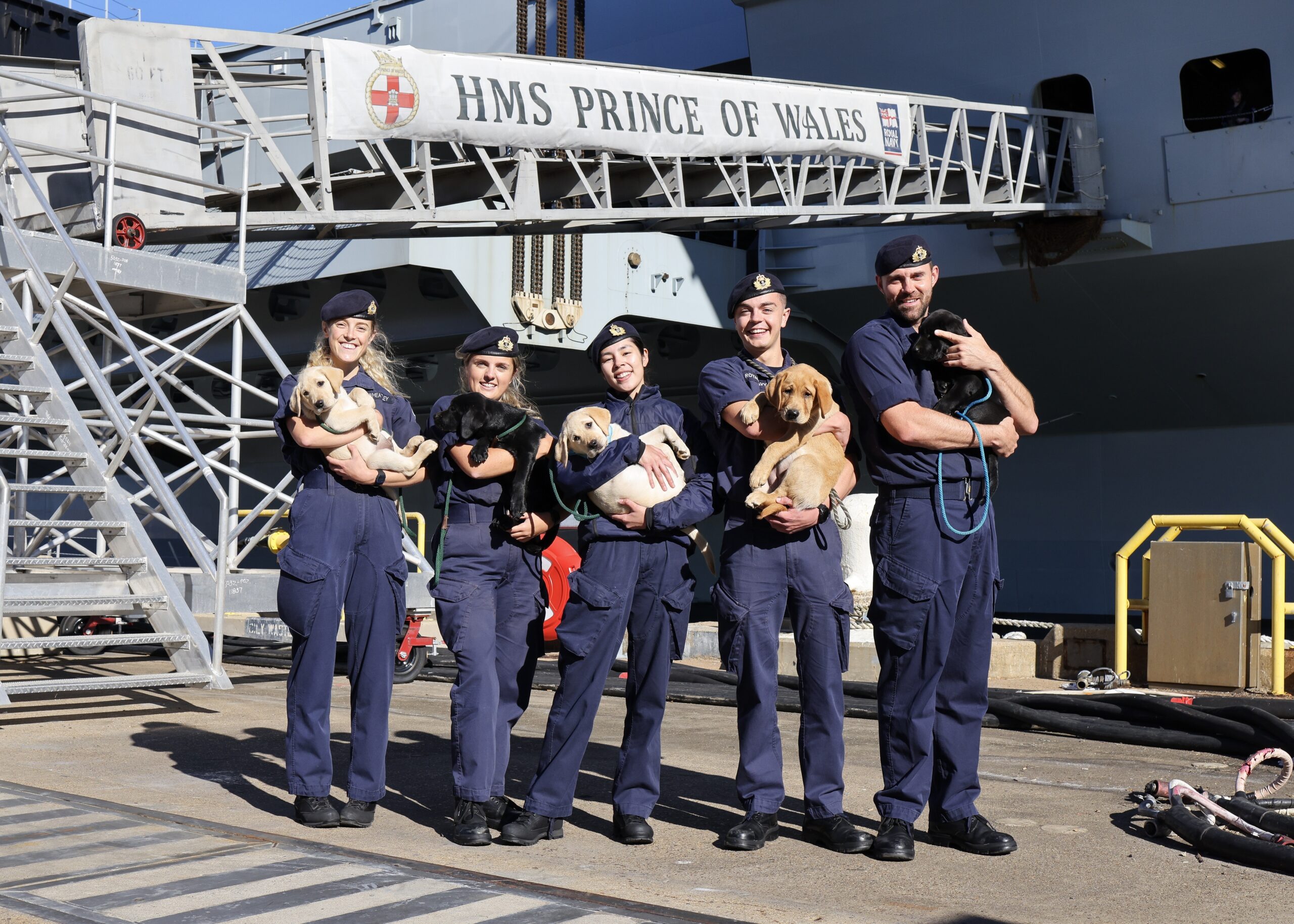 All smiles for HMS Prince of Wales sailors as dogs visit carrier