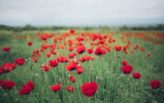 Remembrance Sunday service in Gosport