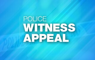 Appeal following attempted dog theft