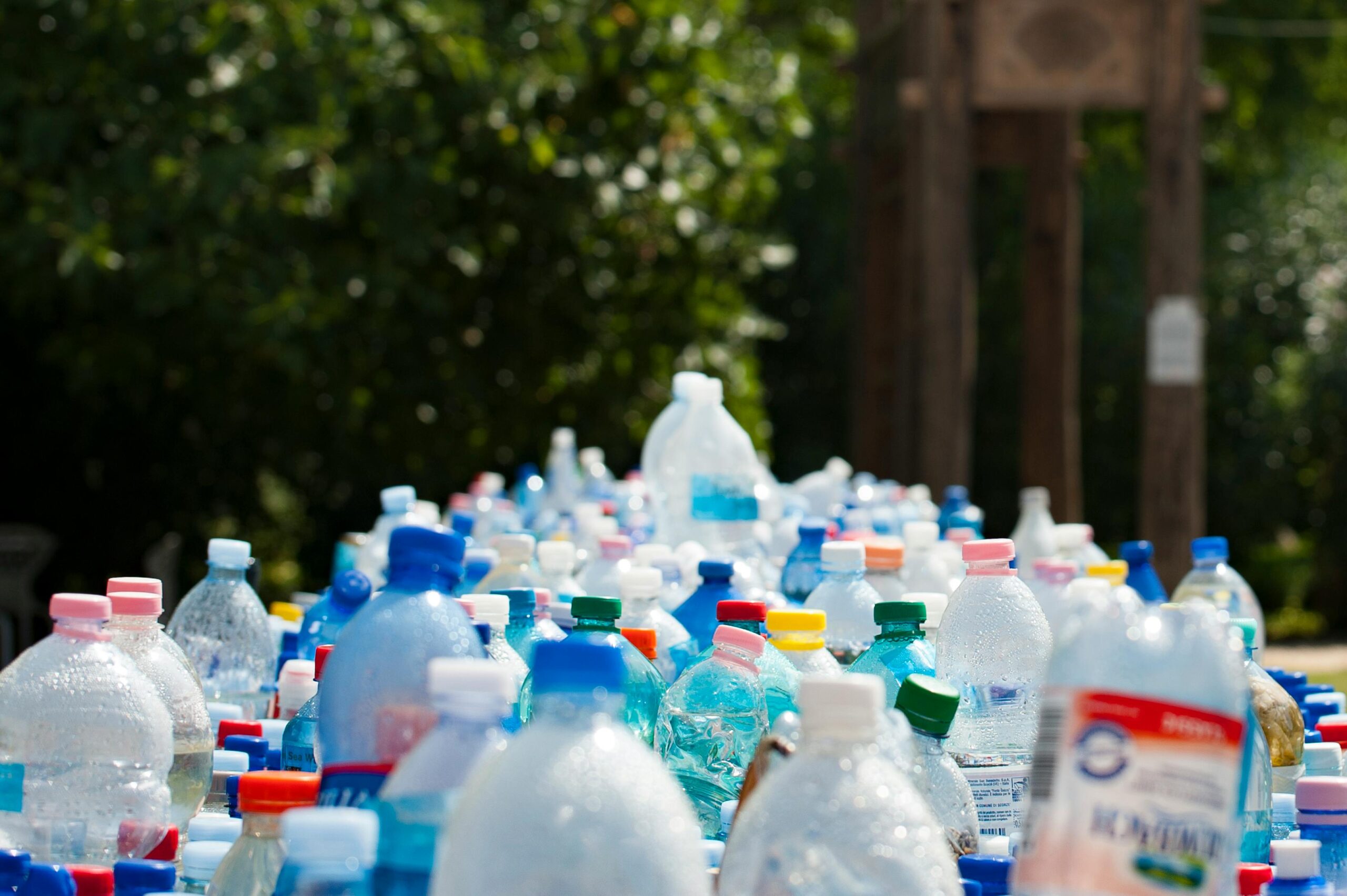 Plastic Free July – reducing single-use plastics
